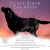 AKC ELITES BLACK EYE AFFAIR "ROGUE" FOR STUD