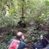 3 days/2nights Lowland Gorilla trek in Kahuzi-Biega National Park