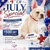 💙BlueEyes boy❤️4th of July🇺🇸deal $-500off