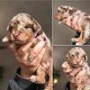 BERNEDOODLES, F1b MINI