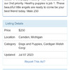 CORGI DOG MICHIGAN -FAKE DO NOT CONTACT