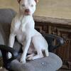 Pit mix
