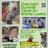 College Student Animal Summer Camp. Jobs