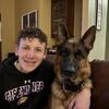 German Bred German Shepherd Puppies for Sale
