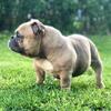 Female available