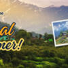 Affordable Manali Packages Book Now with Best Quality Trips