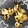 Cute Mini Rex Bunnies For Sale