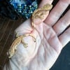 Crested geckos, nice morphs, all have tails, approximately 4 months - 1 year old in Fenton MI