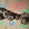 Cockapoo puppies! 