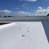 Flat roof coating and sealing 