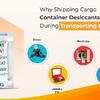 Silica Gel Packets - Highly Moisture Absorbent Desiccant Bag