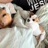 Male and Female Chihuahua