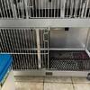 Dog create kennel cage