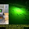 Green Underwater Fish Lights