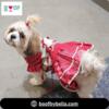 Shop Fashionable Dog Clothes at Boof by Bella