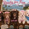 F1B Maltipoo mom purebred Toy Poodle Dad Maltipoos