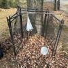 Puppy pen