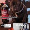 Exotic French Bulldog for stud service