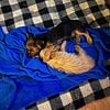 FULL BREEDED YORKIES FOR SALE