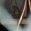 Lovebirds for sale