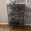 Bird cage only