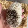 Baby Hedgehogs for sale Racine, Wisconsin