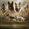 German Shepherd Puppies - Champion Czech working lines