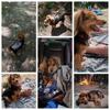Looking for a forever home for my sweet Ivy...