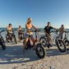 Electric Bike Sarasota Florida Business for Sale