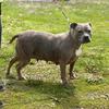 Older girl looking for the perfect home