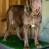 Neo’s looking for homes