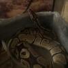 Yellow belly het pied ball python