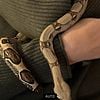 Boa Constrictor BCI