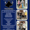 Professional Dog Training For Sale