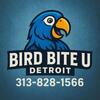 Looking for rehomed birds