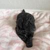 AKC Male Abstract Poodles