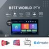 Best IPTV 12 Months Subscription Provider 2024