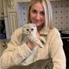  Registered cattery  PREMIUM Scottish Folds champion  bloodlines 
