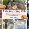 Bonded Trio of Female Sugar Gliders w/cage and accessories