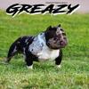 Gripp Tyte''s Ball Greezy Proven PRODUCERis open for stud