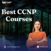 Best CCNP Course Network Kings