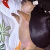 Chihuahua puppies $150.00each 