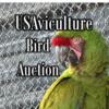 New Online Bird Auction!