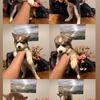 Born December 1st Ready for rehoming