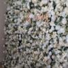 Flower Wall Backdrop *RENTAL* For Weddings and Events