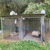 Dog kennel for free