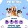Professional Pet Sitting & Dog Training
