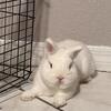 Casper