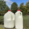 Raw Goat milk for pets 