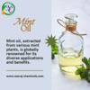 Spearmint Oil Suppliers In India